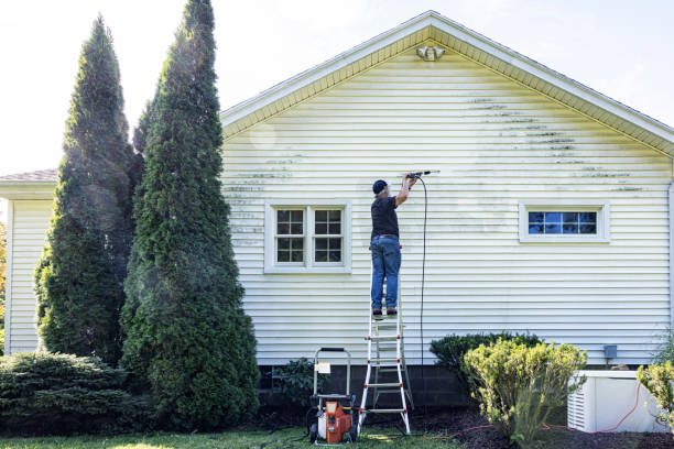 Professional Pressure Washing in White Pine, TN